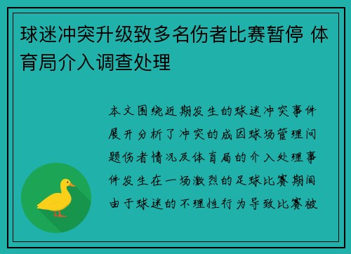 球迷冲突升级致多名伤者比赛暂停 体育局介入调查处理