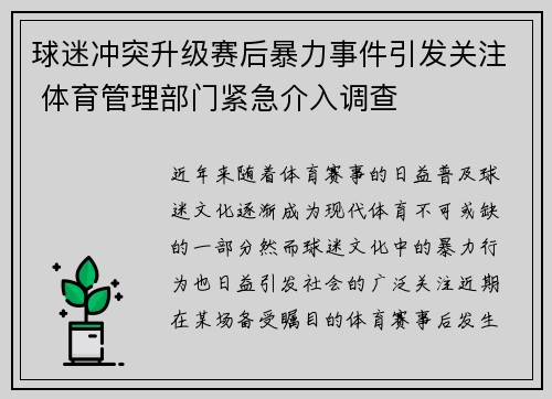 球迷冲突升级赛后暴力事件引发关注 体育管理部门紧急介入调查