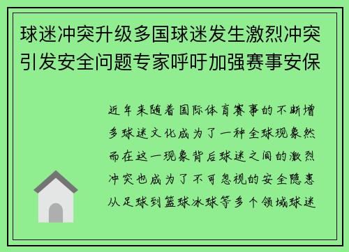 球迷冲突升级多国球迷发生激烈冲突引发安全问题专家呼吁加强赛事安保措施